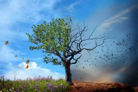 cambio-climático