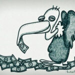 renovables y especulación